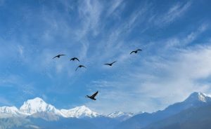 サービスの価値を虫の目と鳥の目で見る｜価値の価値観
